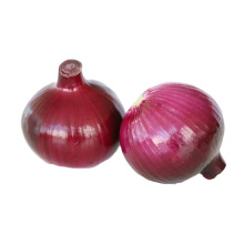 Best selling hot chinese products onions red